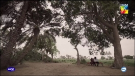 Shirin Farhad - Episode 19 - 12th July 2025